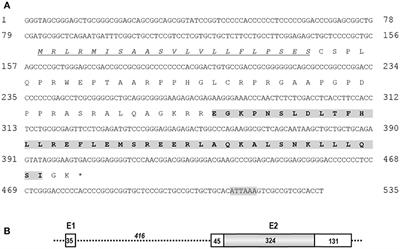 Identification of a Novel Functional Corticotropin-Releasing Hormone (CRH2) in Chickens and Its Roles in Stimulating Pituitary TSHβ Expression and ACTH Secretion